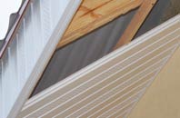 rated Dirnanean soffit repair companies